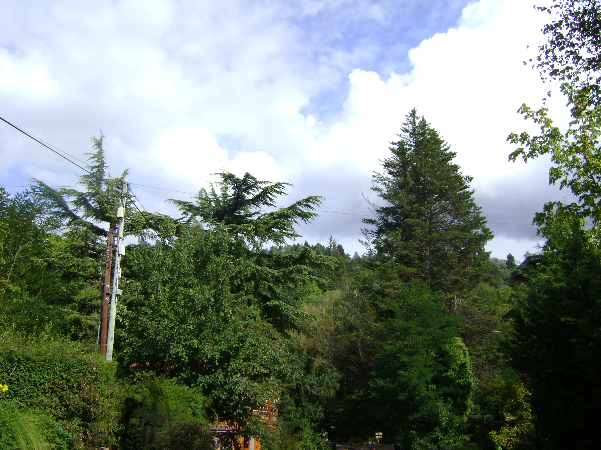 fotos/2011 - Los Reartes/DSC03359.JPG